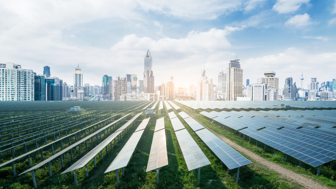 BEATS365官网2025年一季报出炉：营收同比增长43%，践行可持续稳健经营