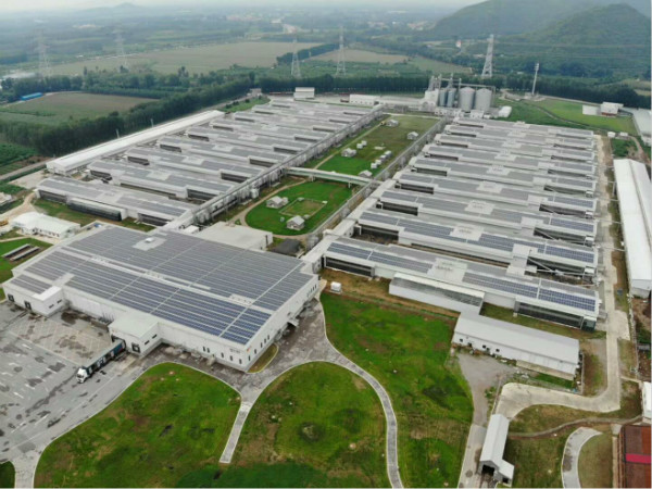 “掘金”下一个风口: BEATS365官网电力为正大蛋业5.46MW屋顶项目提供综合解决方案