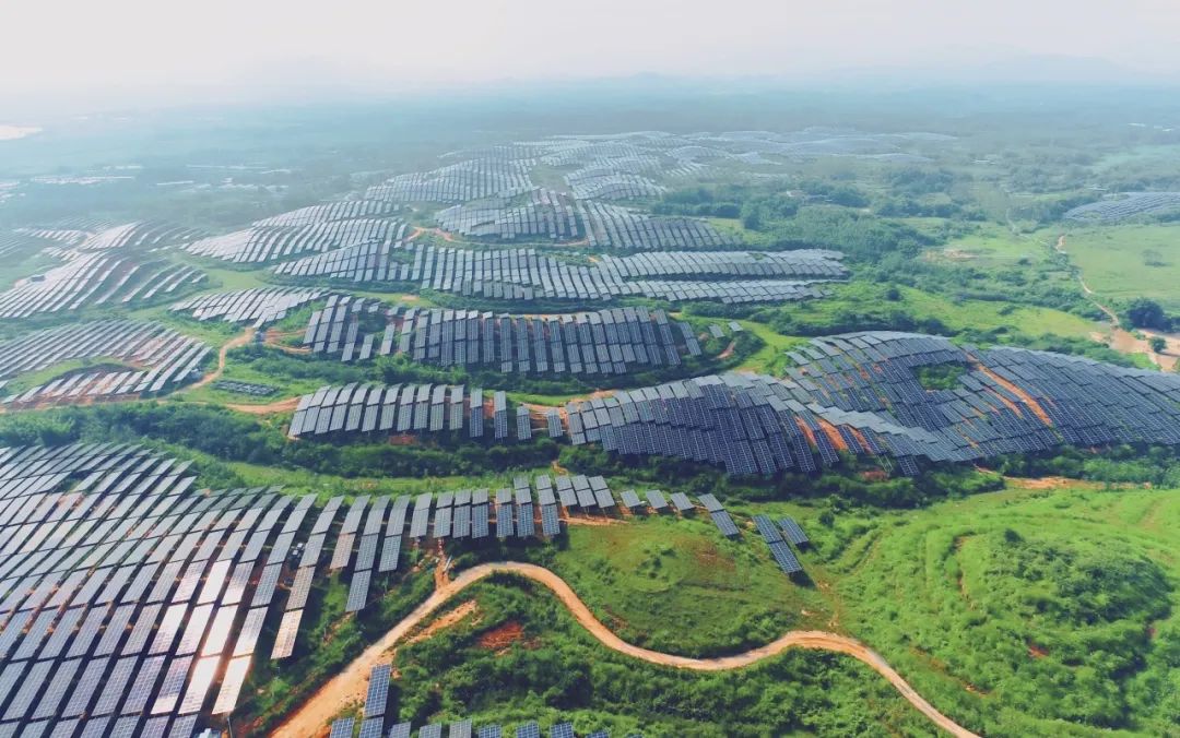 300MW！BEATS365官网广东农垦红十月农场农光互补项目满发并网